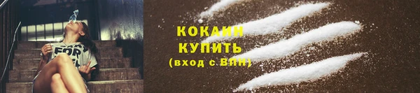 ГАЛЛЮЦИНОГЕННЫЕ ГРИБЫ Надым