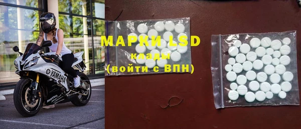 ГАЛЛЮЦИНОГЕННЫЕ ГРИБЫ Надым