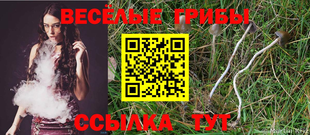 Псилоцибиновые грибы MAGIC MUSHROOMS Нарткала