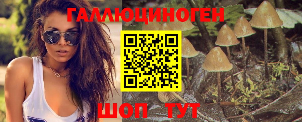 Псилоцибиновые грибы MAGIC MUSHROOMS Нарткала