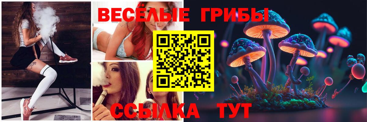 Галлюциногенные грибы Magic Shrooms  где найти наркотики  Галлюциногенные грибы Cubensis  Нарткала 